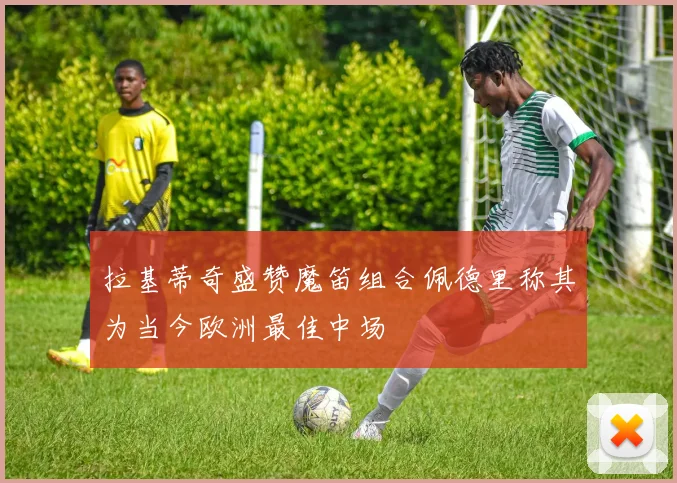 拉基蒂奇盛赞魔笛组合佩德里称其为当今欧洲最佳中场